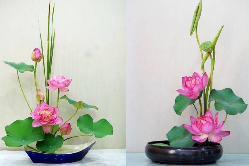 Cách cắm hoa sen - phong cách Ikebana Nhật Bản (Ảnh: Pinterest)